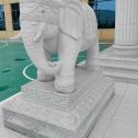 六盘水 白麻花岗岩动物异形石雕-大象